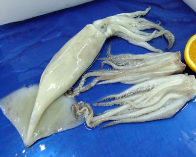 魷魚整條