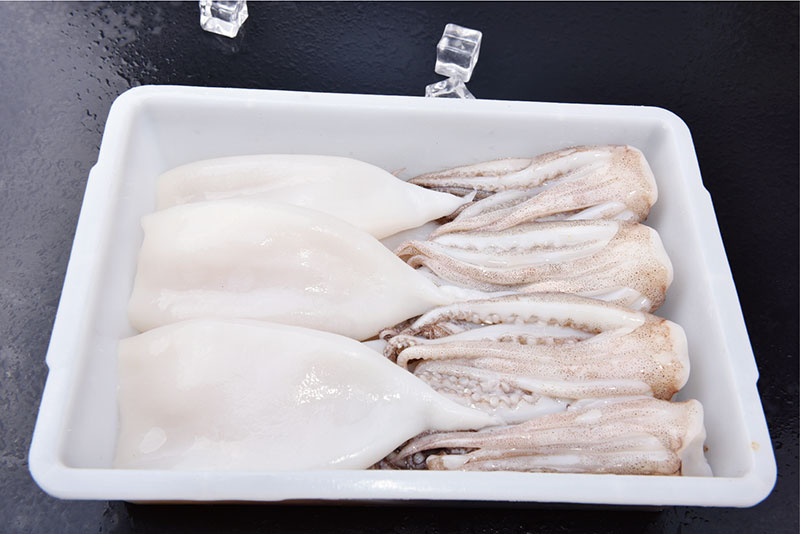 魷魚T+T