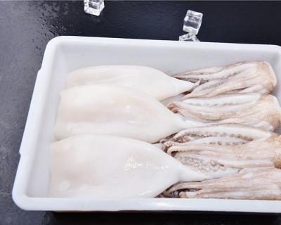 魷魚T+T